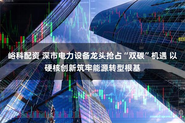 峪科配资 深市电力设备龙头抢占“双碳”机遇 以硬核创新筑牢能源转型根基