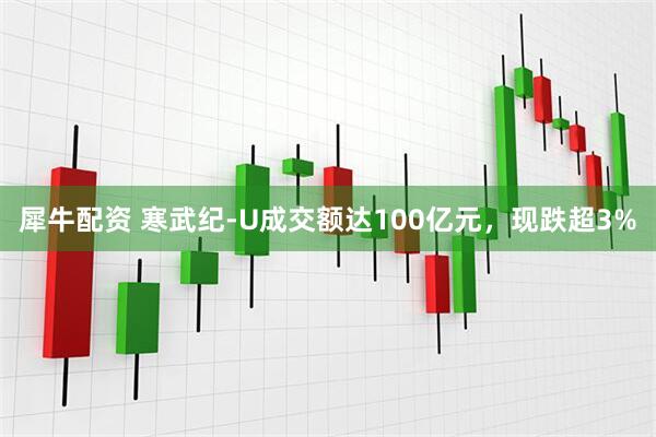 犀牛配资 寒武纪-U成交额达100亿元，现跌超3%