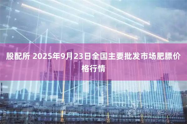 股配所 2025年9月23日全国主要批发市场肥膘价格行情