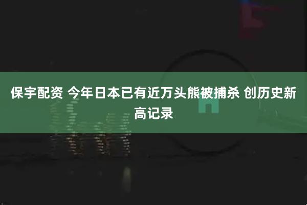 保宇配资 今年日本已有近万头熊被捕杀 创历史新高记录